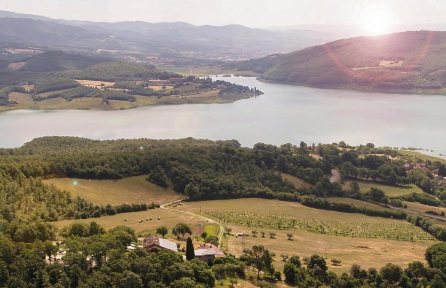 Agriturismo Le Ceregne Bio Pieve Santo Stefano Eksteriør billede